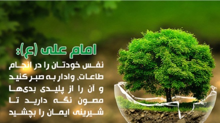 Hezret Alynyň (s.a) imana garaýyşy 