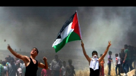 Video: Quds (scontri tra palestinesi e sionisti)