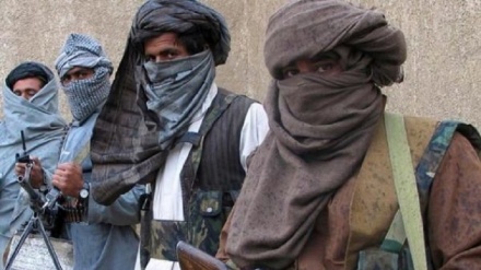 阿富汗停火前夕65名安全人员死亡