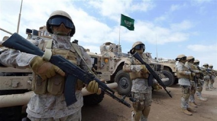 Saudi Bermaksud Beli Perusahaan Senjata Afsel