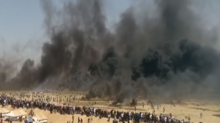 Қудсда намоз уқиймиз.12(ВИДЕО) 