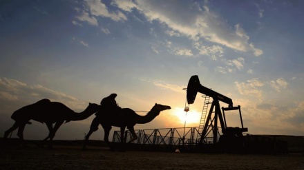 サウジアラビアからの資本流出額、年間９００億ドルに