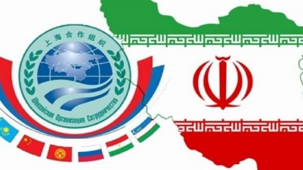 قرقیزستان؛ رئیس جدید سازمان همکاری شانگهای 