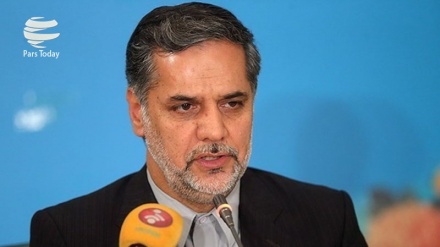 纳格维·侯赛尼：欧洲对伊核协议采取自相矛盾的政策