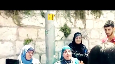 Video: Quds (scontri tra palestinesi e sionisti)