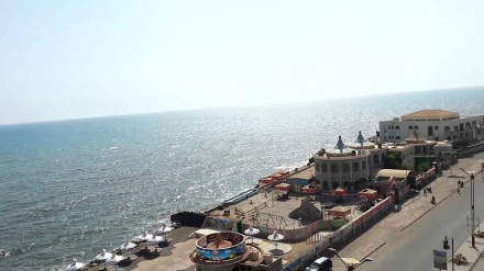 Lebih dari 200 Tentara Saudi Tewas di Al Hudaydah Yaman