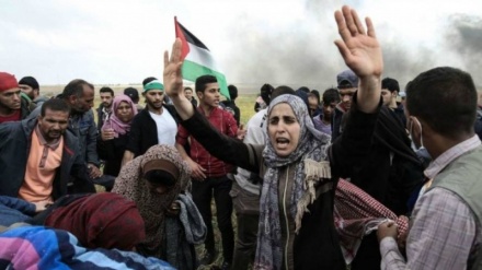 फ़िलिस्तीनियों के प्रतिरोध  पर चर्चा।