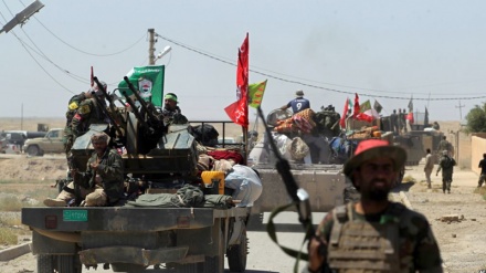 Hashd Sha'bi fillon operacionet për garantimin e sigurisë në marshin e Arbainit Husejnit