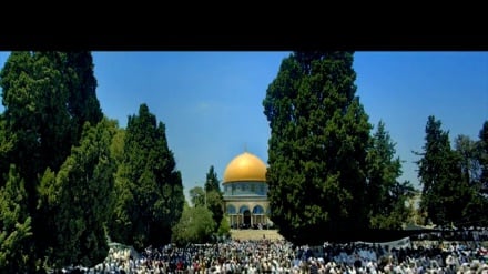 Video: Quds (scontri tra palestinesi e sionisti)