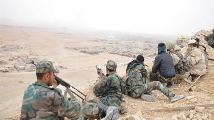 Désert de Syrie: les 