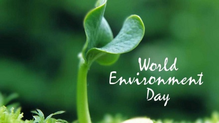 Giornata Mondiale dell’Ambiente 2020