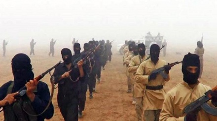 巴基斯坦安全机构：美国将达伊沙恐怖分子转移至阿富汗和巴基斯坦边界