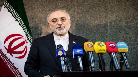 Salehi: Anlagen von Natanz sind vorbereitet 