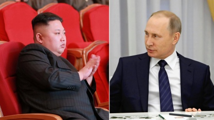 普京将与朝鲜最高人民会议常任委员会委员长金永南举行会见