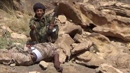 هلاکت شماری از متجاوزان سعودی در ساحل غربی یمن