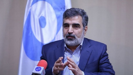 イラン原子力庁報道官、「イランでの重水の生産は停止されていない」