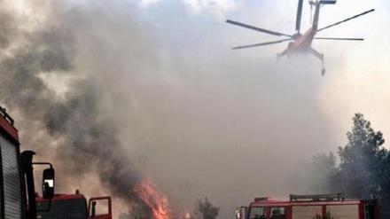 Grecia: 85 i morti, 1218 case distrutte