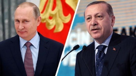 埃尔多安和普京强调维护叙利亚领土完整