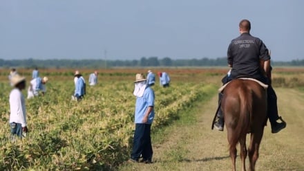 アメリカで、現代版の奴隷制が横行