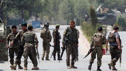 Civilian deaths in Afghanistan hit record high: UN