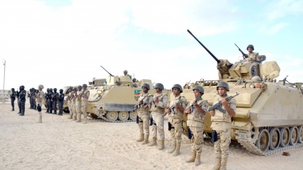 埃及军队和武装团伙在北西奈省爆发冲突