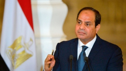 埃及支持联合国关于巴勒斯坦通过的决议