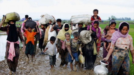 Genosida Muslim Rohingya di Myanmar (17)