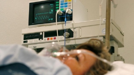 Staminali umane riparano il cuore infartuato nelle scimmie