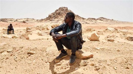 Algeria stops expelling refugees into Sahara after condemnation