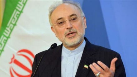 Salehi: Irán se adhiere a sus compromisos con AIEA