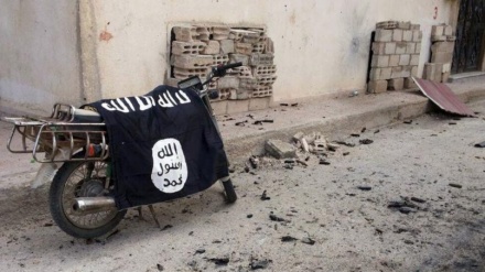 अरबईन के मौक़े पर हमला करने की योजना बना रहे दाइश के 11 आतंकवादी ढेर