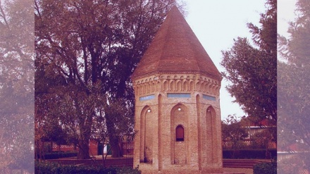 Şiiə yolə alimon-37