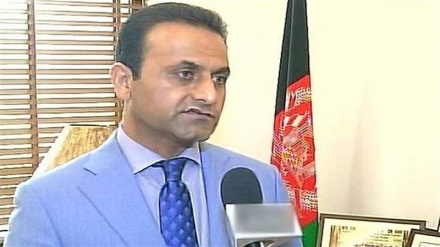تاکید دیپلمات افغان بر سازماندهی حملات تروریستی درخاک پاکستان 