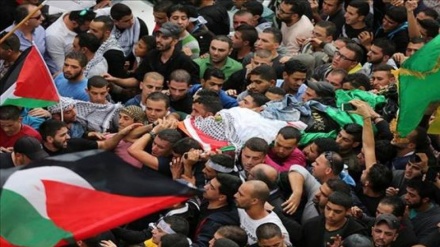 2018年上半年有177个巴勒斯坦人牺牲