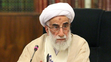 آیت الله جنتی:رئیس جمهوری با حضور در عراق قدرت ایران را به نمایش گذاشت