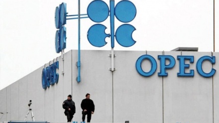 OPECが国際市場におけるバランスを支持