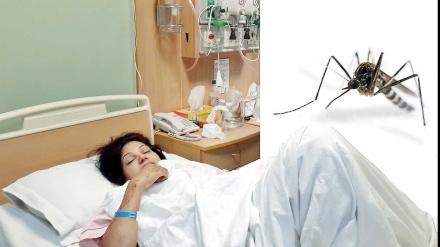 ঢাকায় ডেঙ্গুর প্রকোপ বৃদ্ধি: ৪০ এলাকা ঝুঁকিপূর্ণ