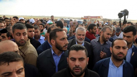 Ğəzzədə hafdəminə 