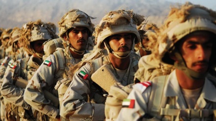 UAE's Yemen troop withdrawal