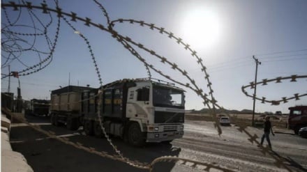 国土报承认：加沙地带已成为世界上最大的单人牢房