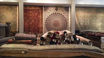 İran halıları Cezayir camilerinde