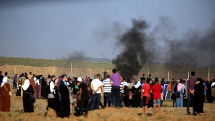 Oqarde həx nomo bıə aksiya (100 rujiku bəpeştə)