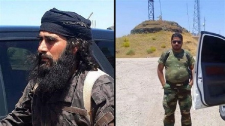 Komandatët e lartë të terroristëve strehohen në Izrael!