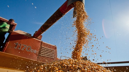 Agronegócio brasileiro fatura US$ 8,17 bilhões em junho