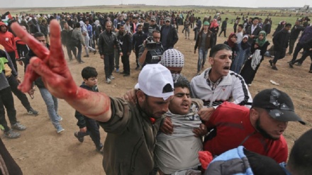 Al-Azhar Mesir Kutuk Kejahatan Israel terhadap Warga Palestina