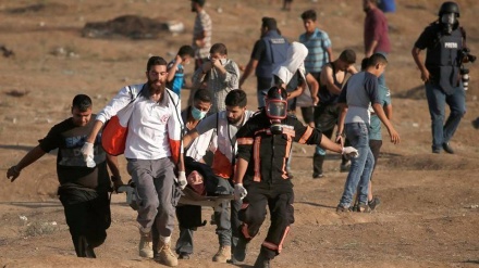 2 martirë dhe 246 të plagosur në protestat e zhvilluara në Gaza