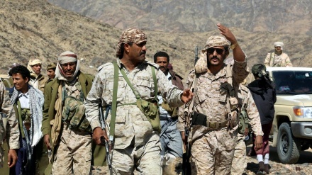 Dimitido gobierno yemení pide cese de apoyo de EAU a milicias del sur del país