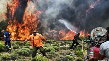 Në Greqi, kërkime për të mbijetuar nga zjarret