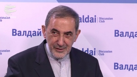  ولایتی: در گفت‌وگو با پوتین، همکاری‌های منطقه‌ای ایران و روسیه تثبیت شد