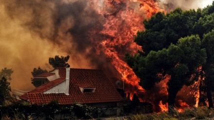 Dëmet e shkaktuara nga zjarri në Greqi